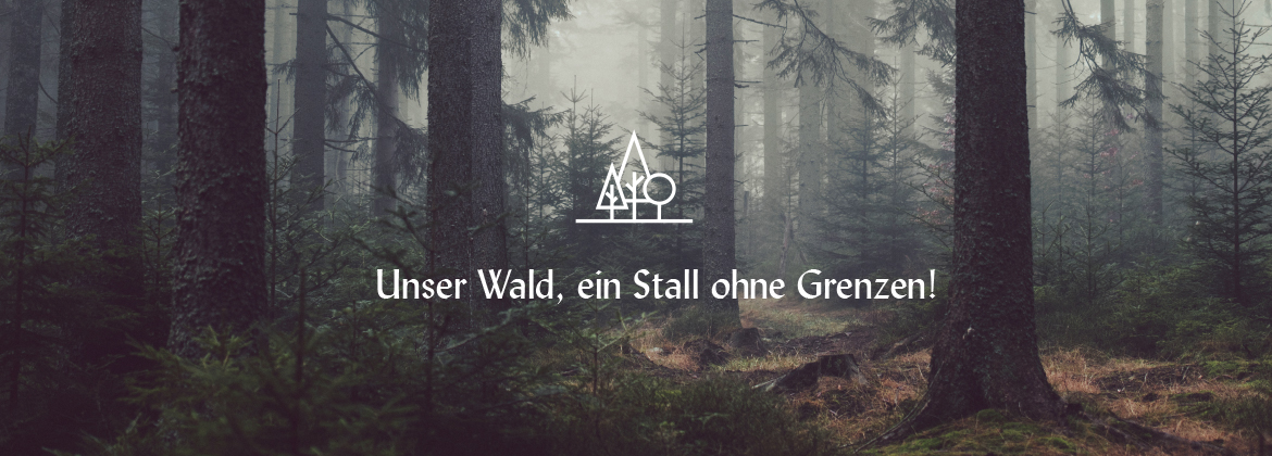 05_Slider_neu_1170x495_2